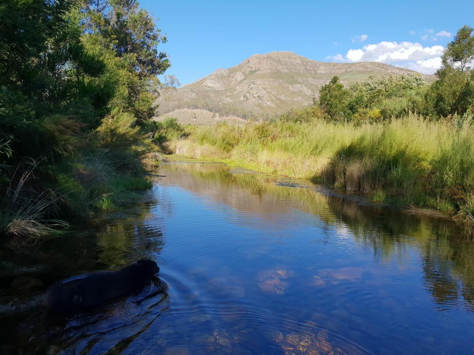 La Ferme Guest Farm - Hot Tubs Villa Franschhoek Buitenkant foto
